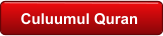 Culuumul Quran